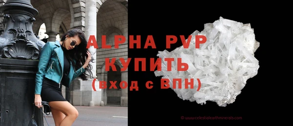 крисы Баксан