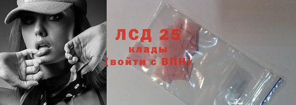 твердый Арсеньев