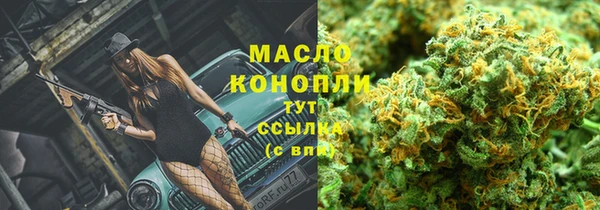 крисы Баксан