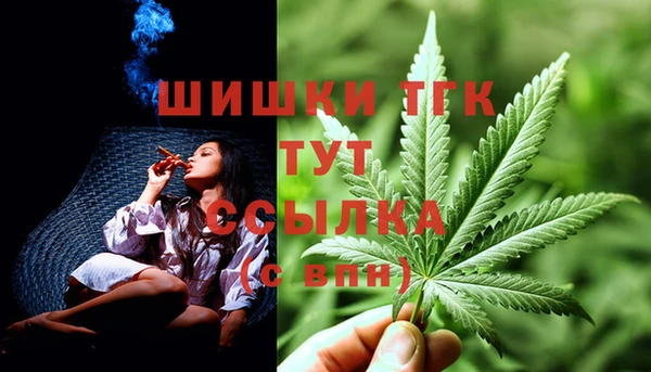мет Няндома