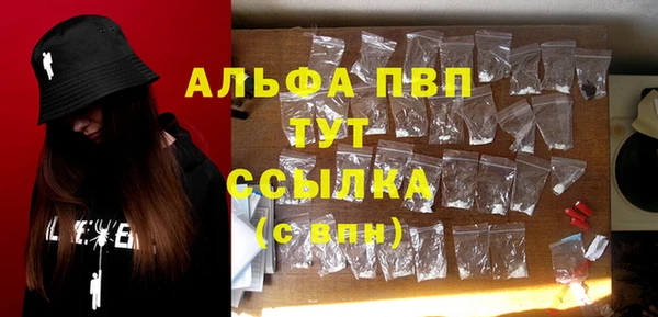 крисы Баксан