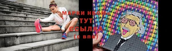 крисы Баксан